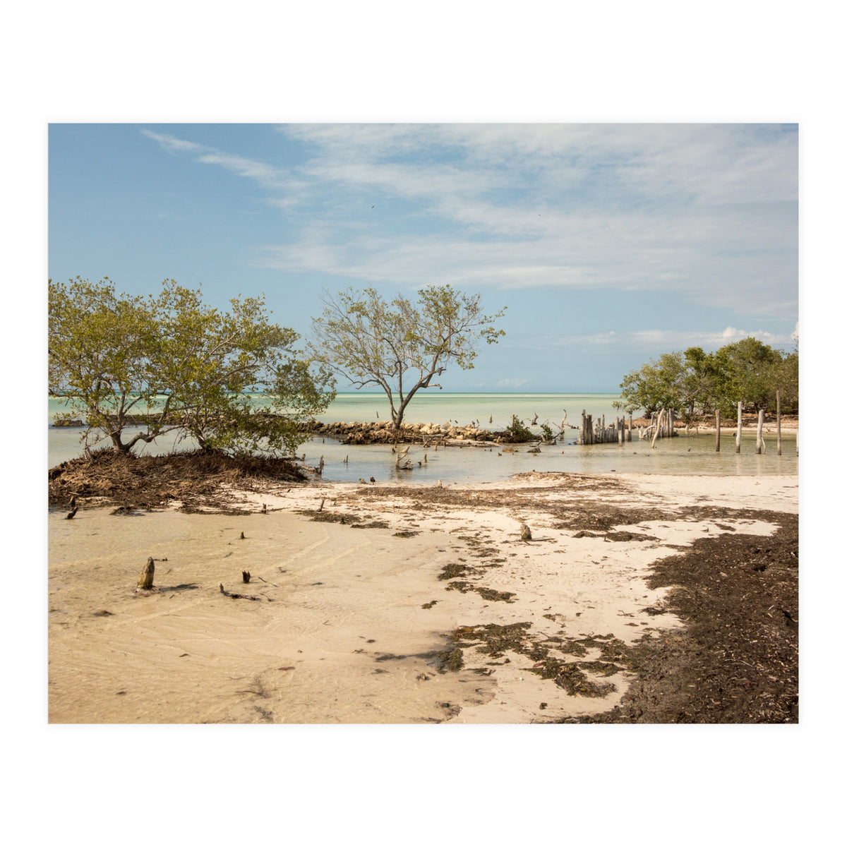 Yucatan beach (Print Only)