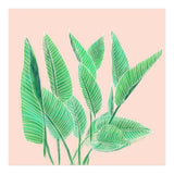 Modern Hand Painted Tropical Green Watercolor Leaf Bird Of Paradise On Pastel Pink (Print Only) thumbnail