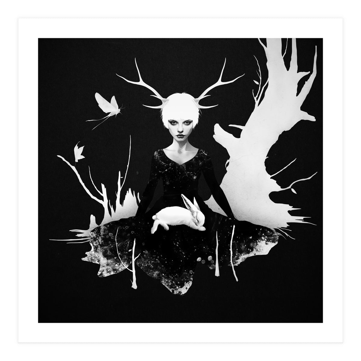 Space Within (Print Only)