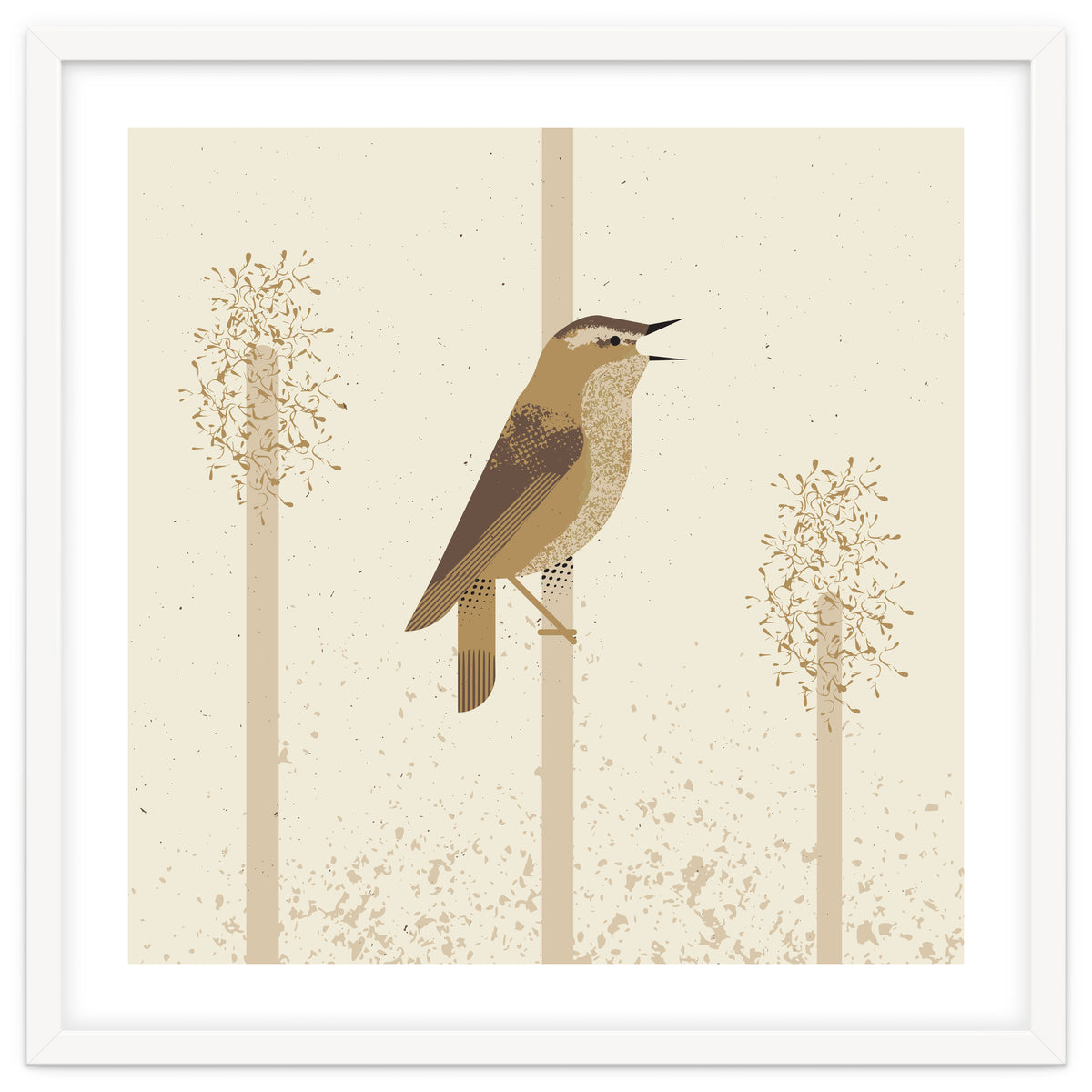 Sedge Warbler