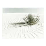 WHITE SANDS Idyllic scenery | Vintage (Print Only) thumbnail