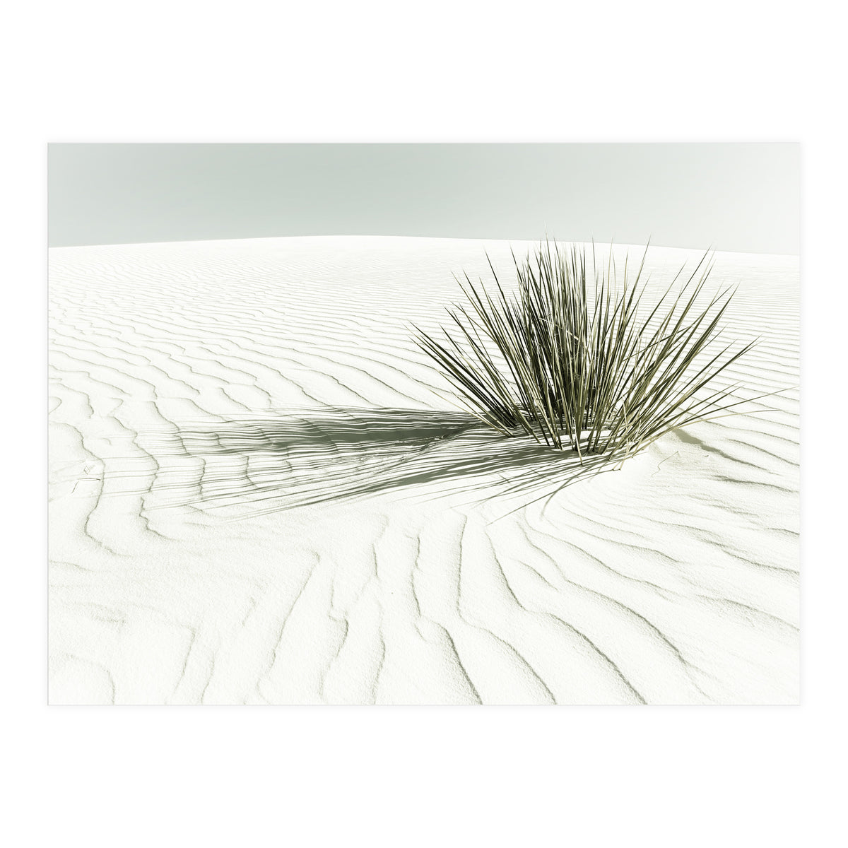 WHITE SANDS Idyllic scenery | Vintage (Print Only)