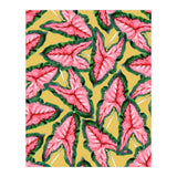 Caladium, Botanical Tropical Nature Plants, Vintage Bohemian Exotic Blush Leaves (Print Only) thumbnail