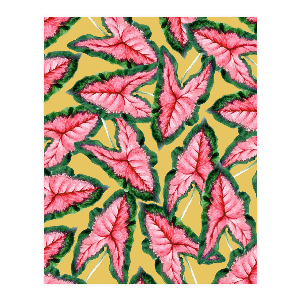 Caladium, Botanical Tropical Nature Plants, Vintage Bohemian Exotic Blush Leaves (Print Only)