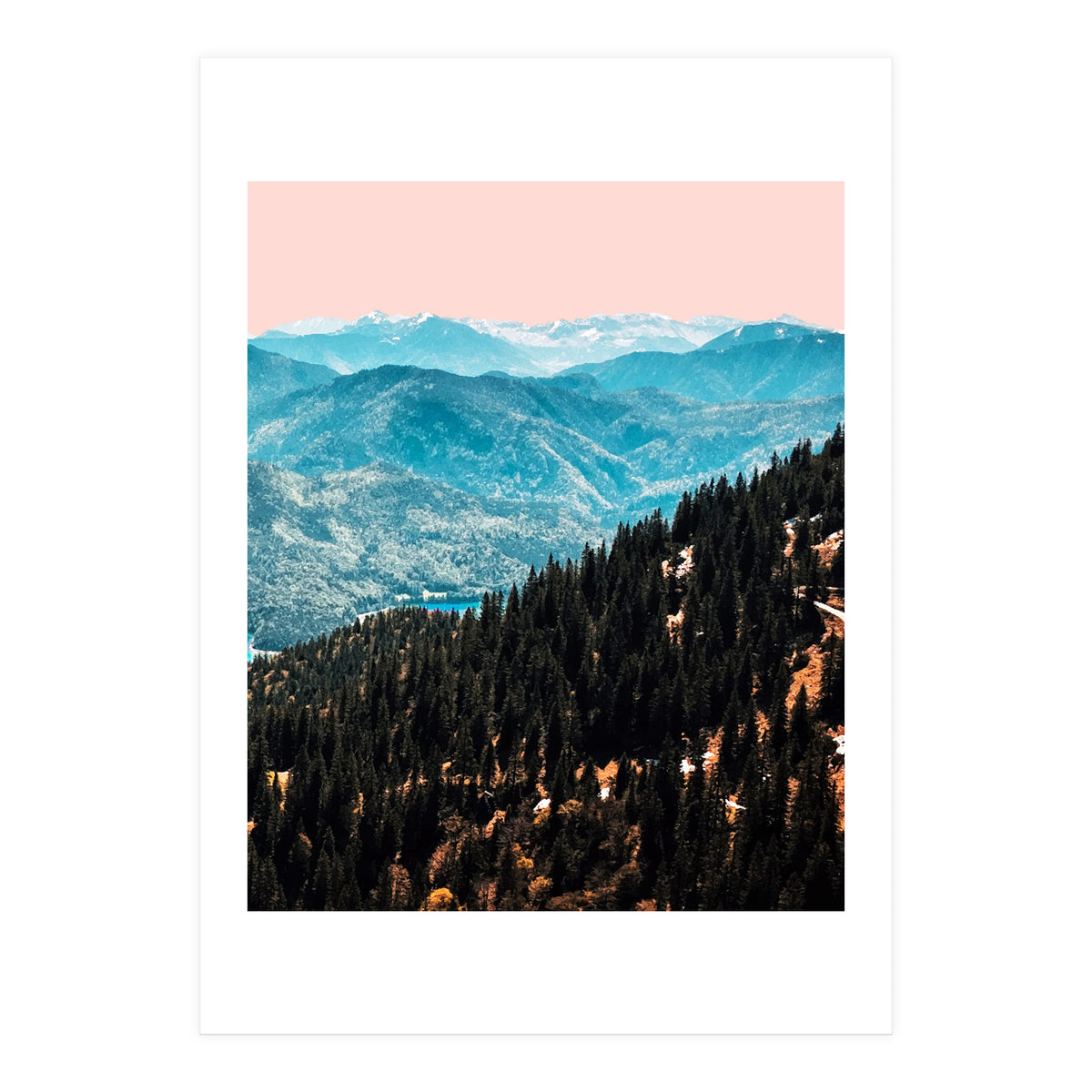 View (Print Only)
