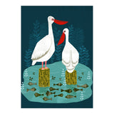 Pelicans (Print Only) thumbnail