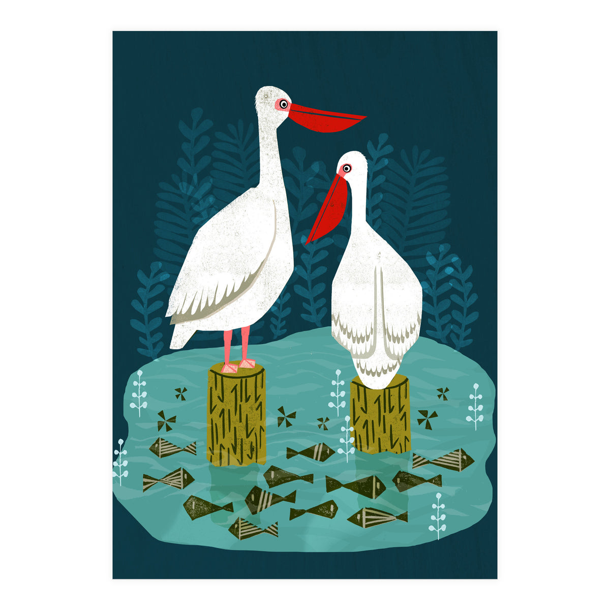 Pelicans (Print Only)