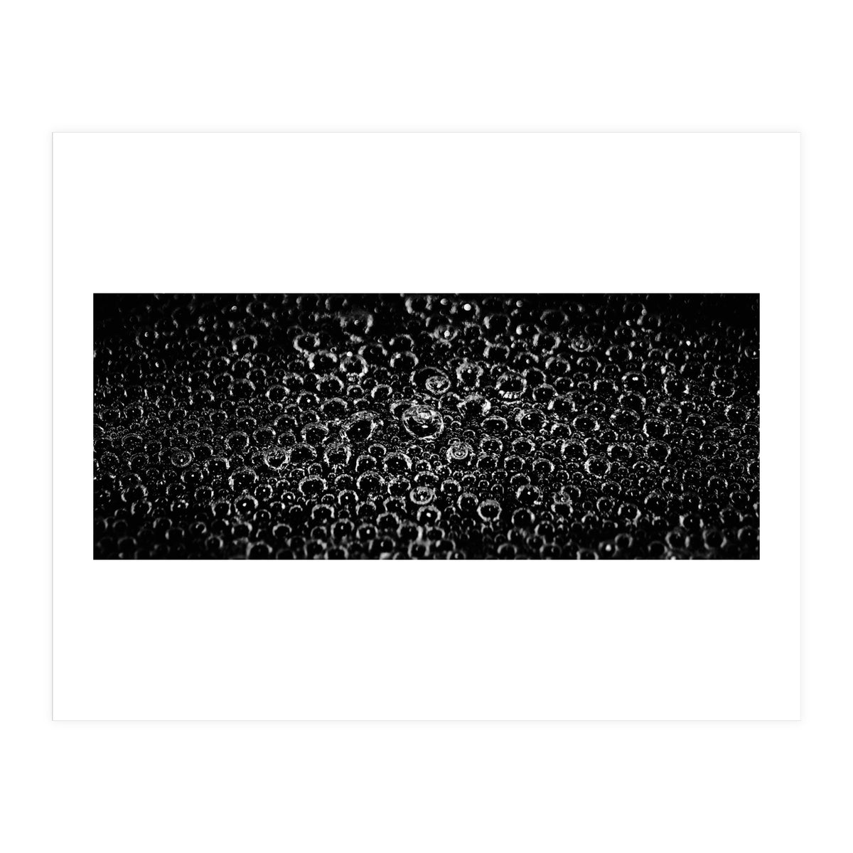 Bubbles (Print Only)