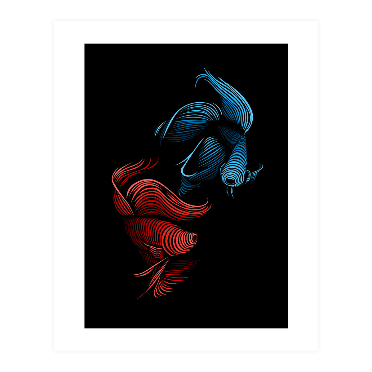 bettas fight (Print Only)