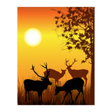Deer Card (Print Only) thumbnail