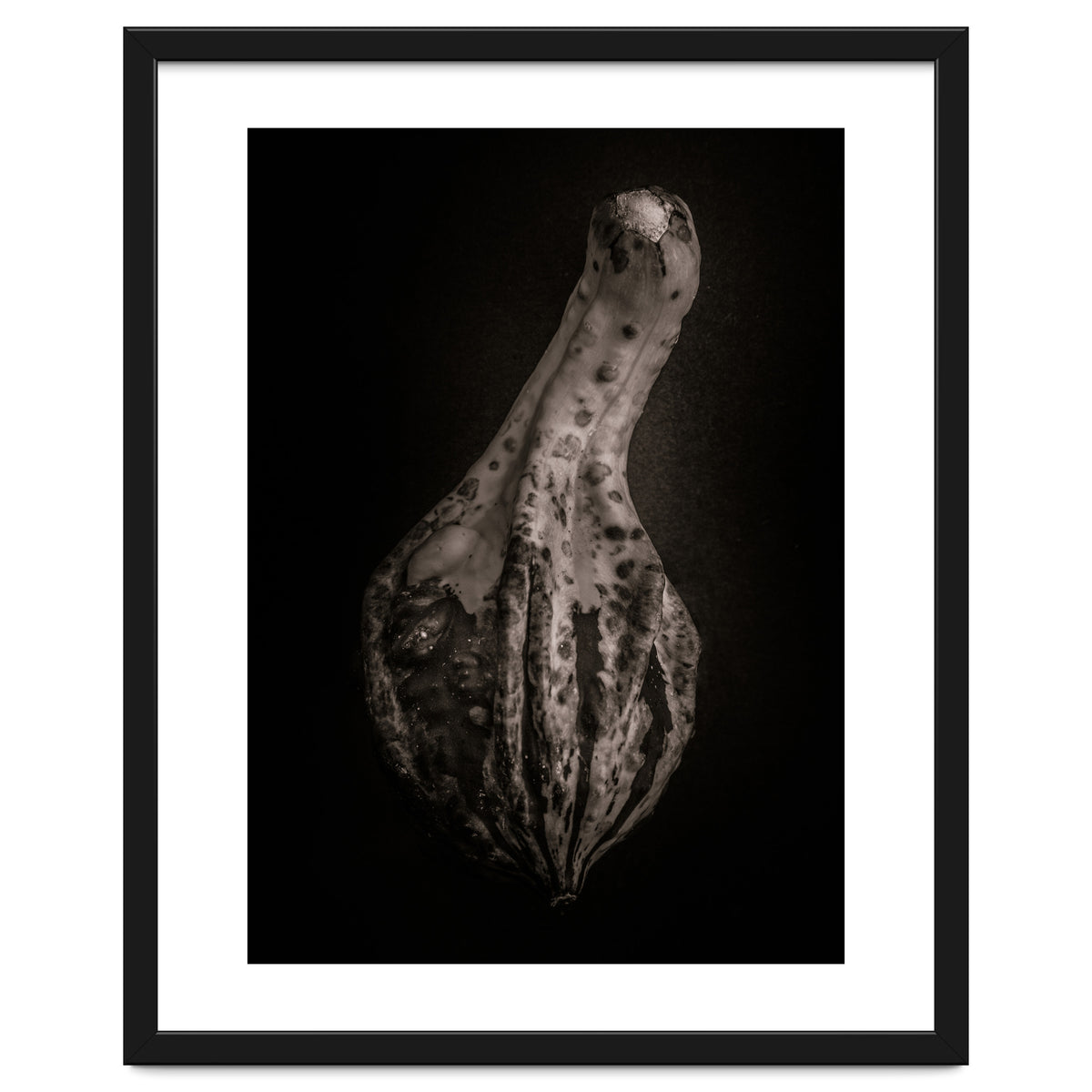 Gourds No 3