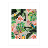 Bird Sanctuary (Print Only) thumbnail