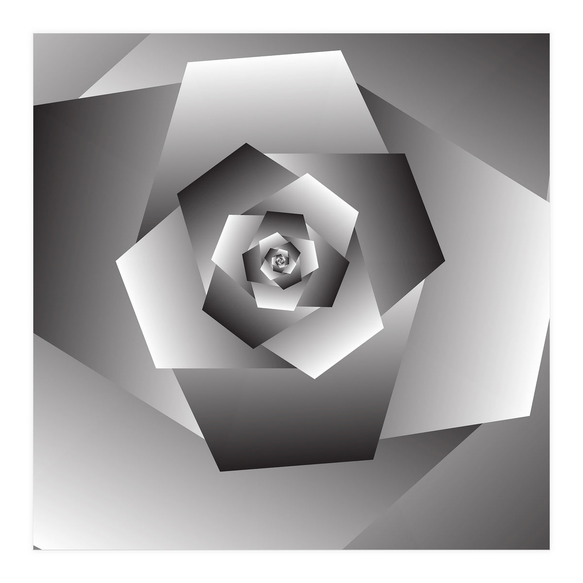 Monochrome Rose Spiral  (Print Only)