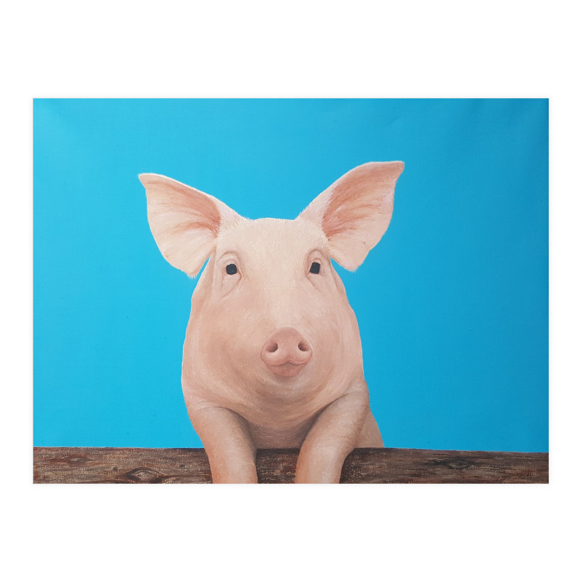 Pig (Print Only)