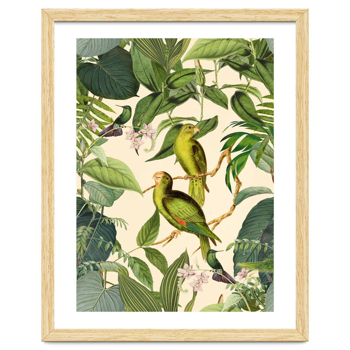 Green Jungle Parakeets