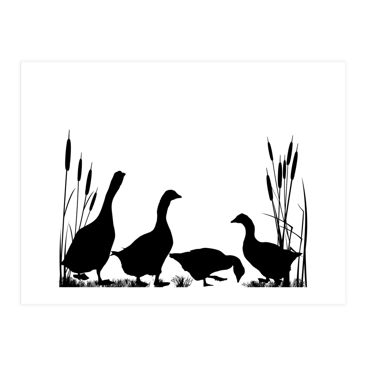 Goose talk (Print Only)