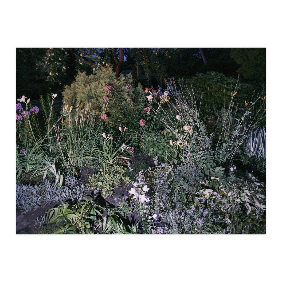 Picture Postcard Perfect (Print Only)