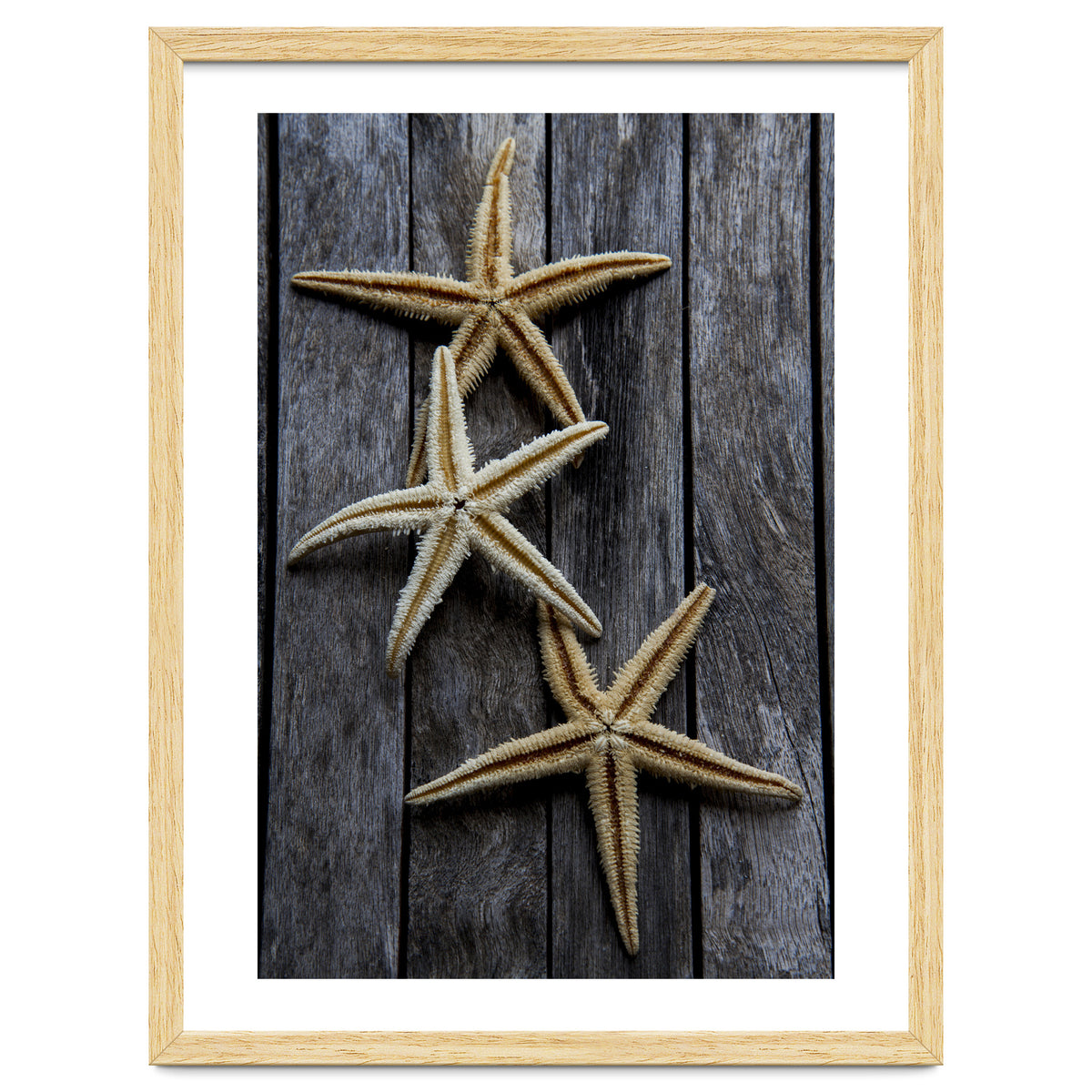 Starfishes in wooden
