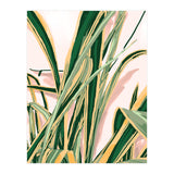 Blush Botanical Unfolding (Print Only) thumbnail