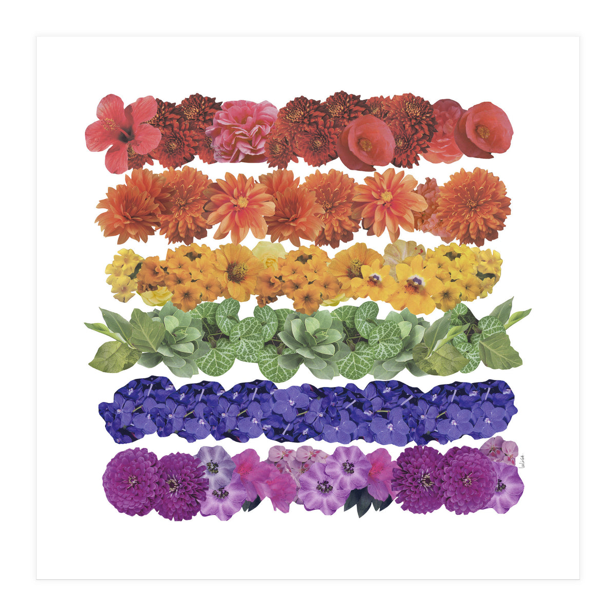 Pride (Print Only)