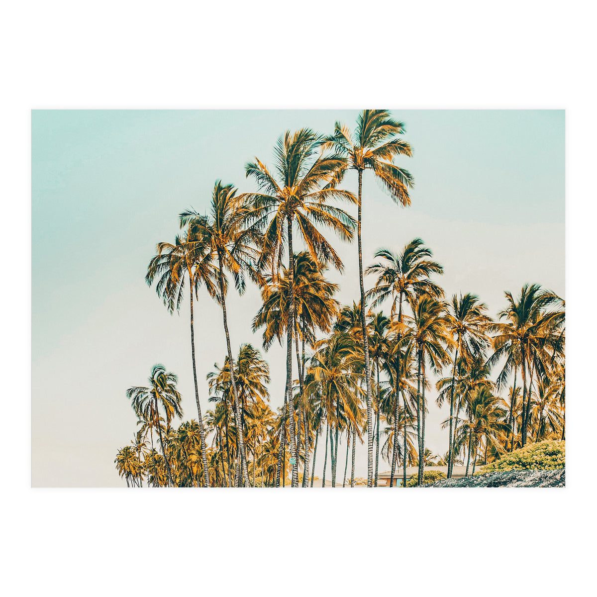 Island Life III (Print Only)