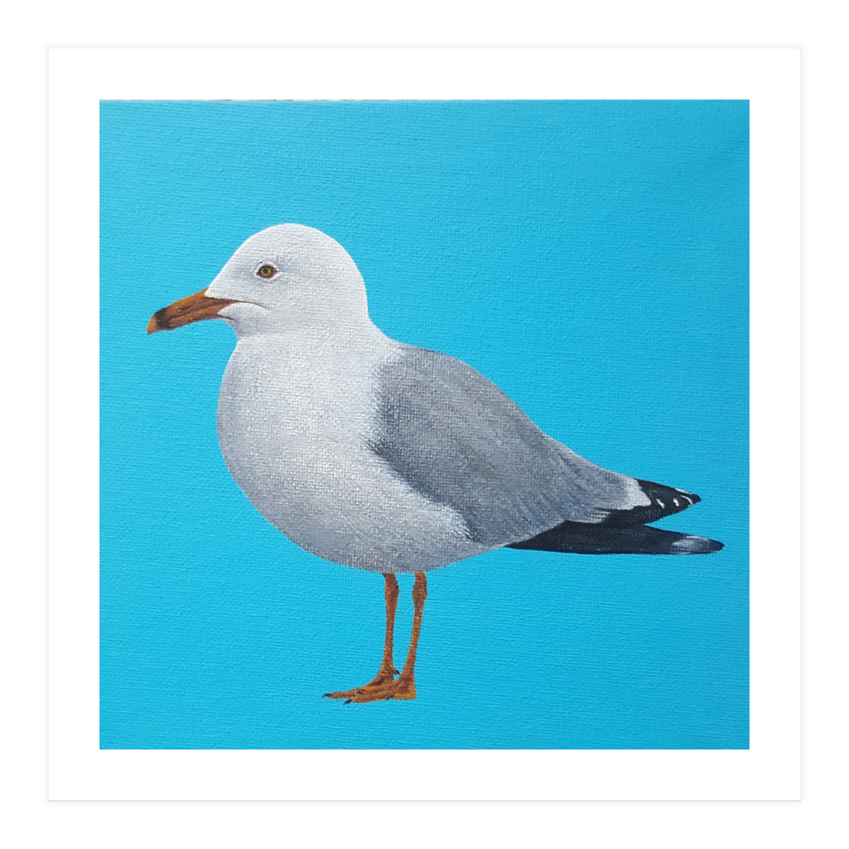 Seagull (Print Only)