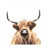 Highland Cow Portrait (Print Only) thumbnail