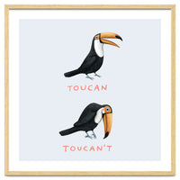 Toucan Toucan't
