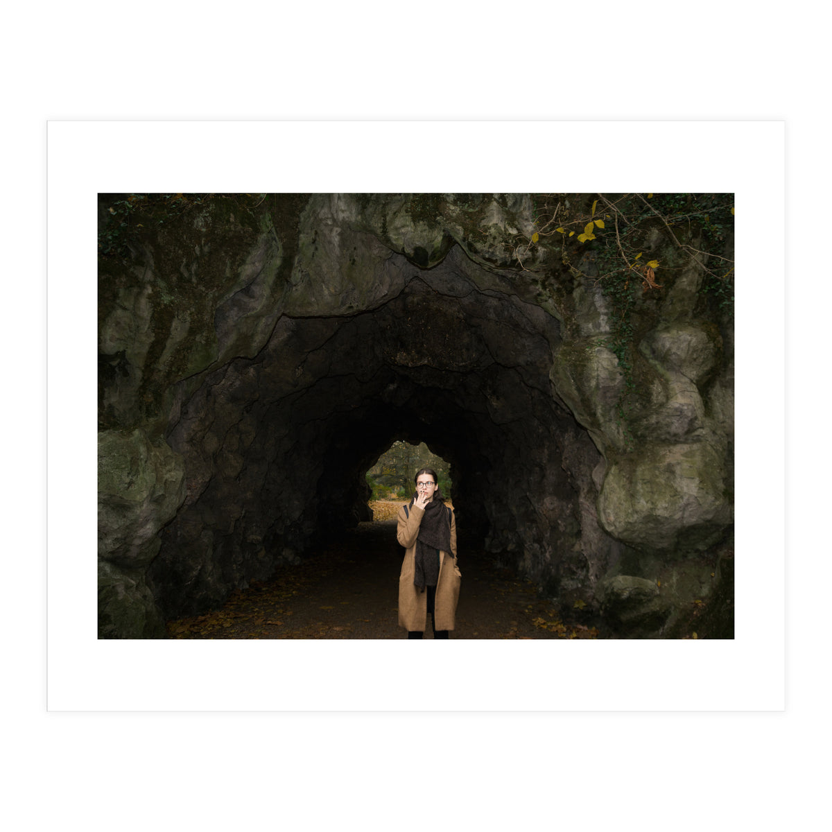 Transition from Summer to Winter (Print Only)