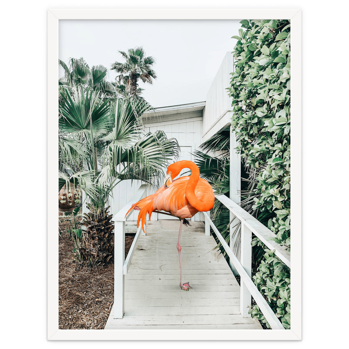 Flamingo Beach House