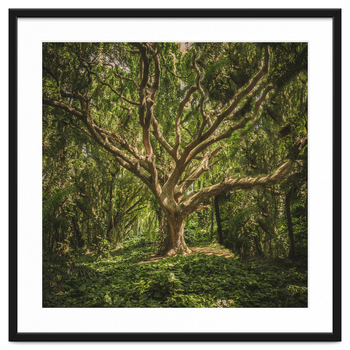 Spirits inside the wood