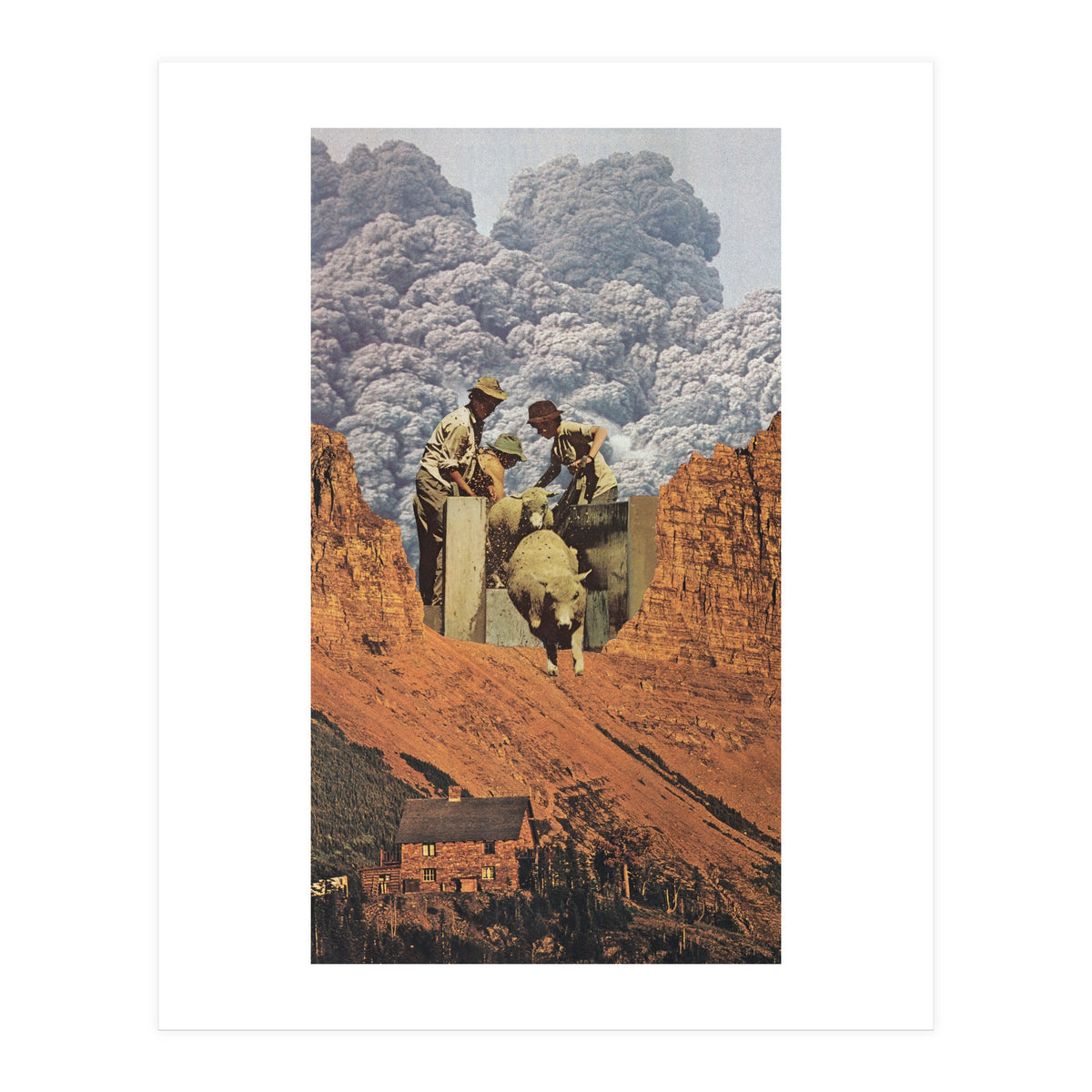 Dirty Sheep (Print Only)