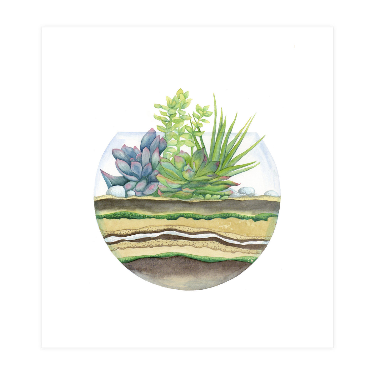 A Little Green Terrarium (Print Only)