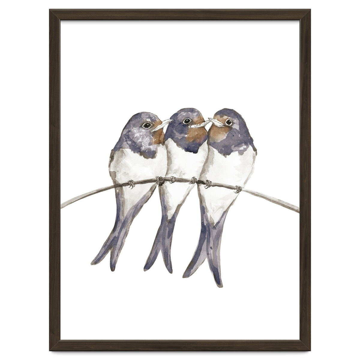 Three young swallows