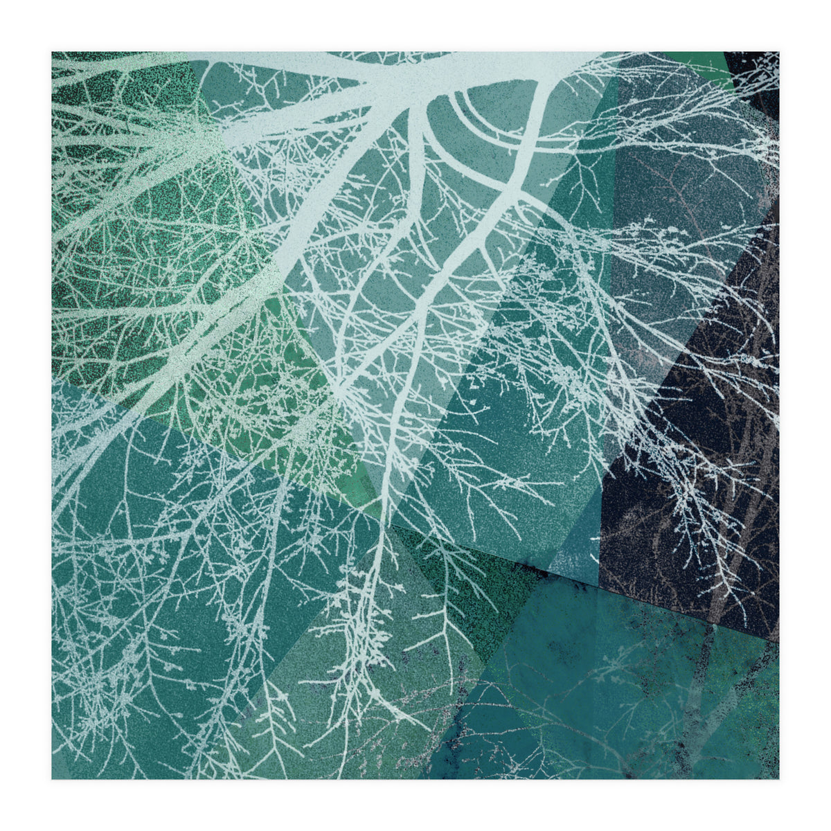 P19-E3 Trees and Triangles (Print Only)