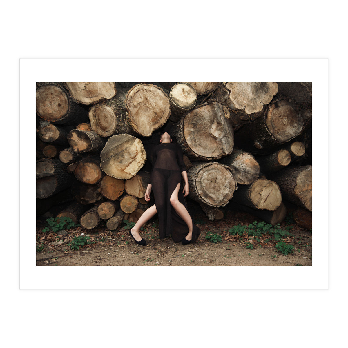 Slow Dancing Society (Print Only)