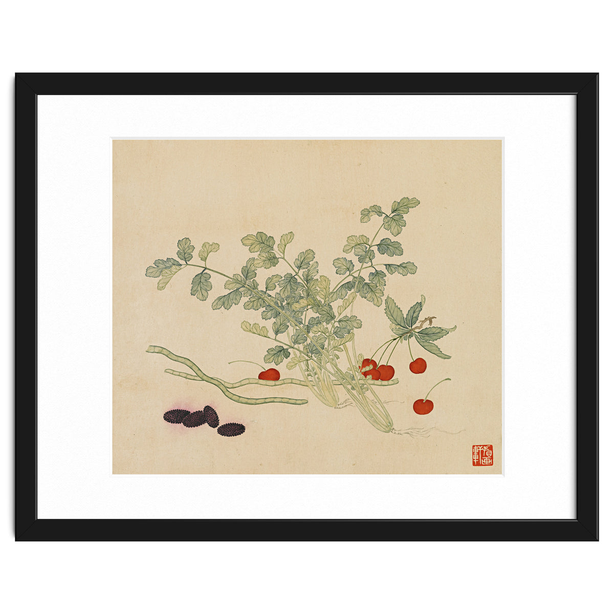 Wang Chengyu~flowers And Vegetables, Vegetables, Fruits, Beans, Red Beans, Cherries, Celery