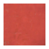 Red Barrier (Print Only) thumbnail