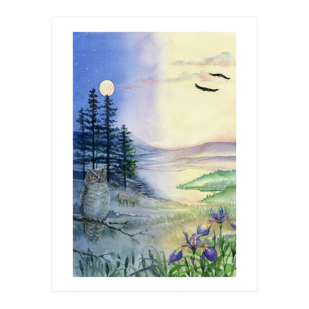 Owl & Twilight (Print Only)