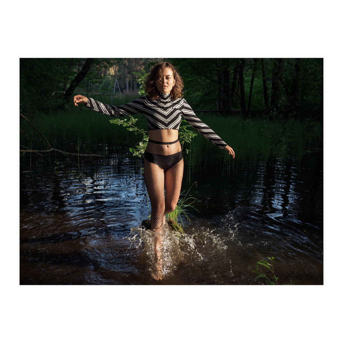 Swamp Swan (Print Only)