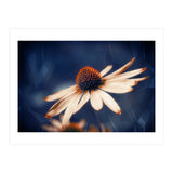 Flowers Indigo (Print Only) thumbnail