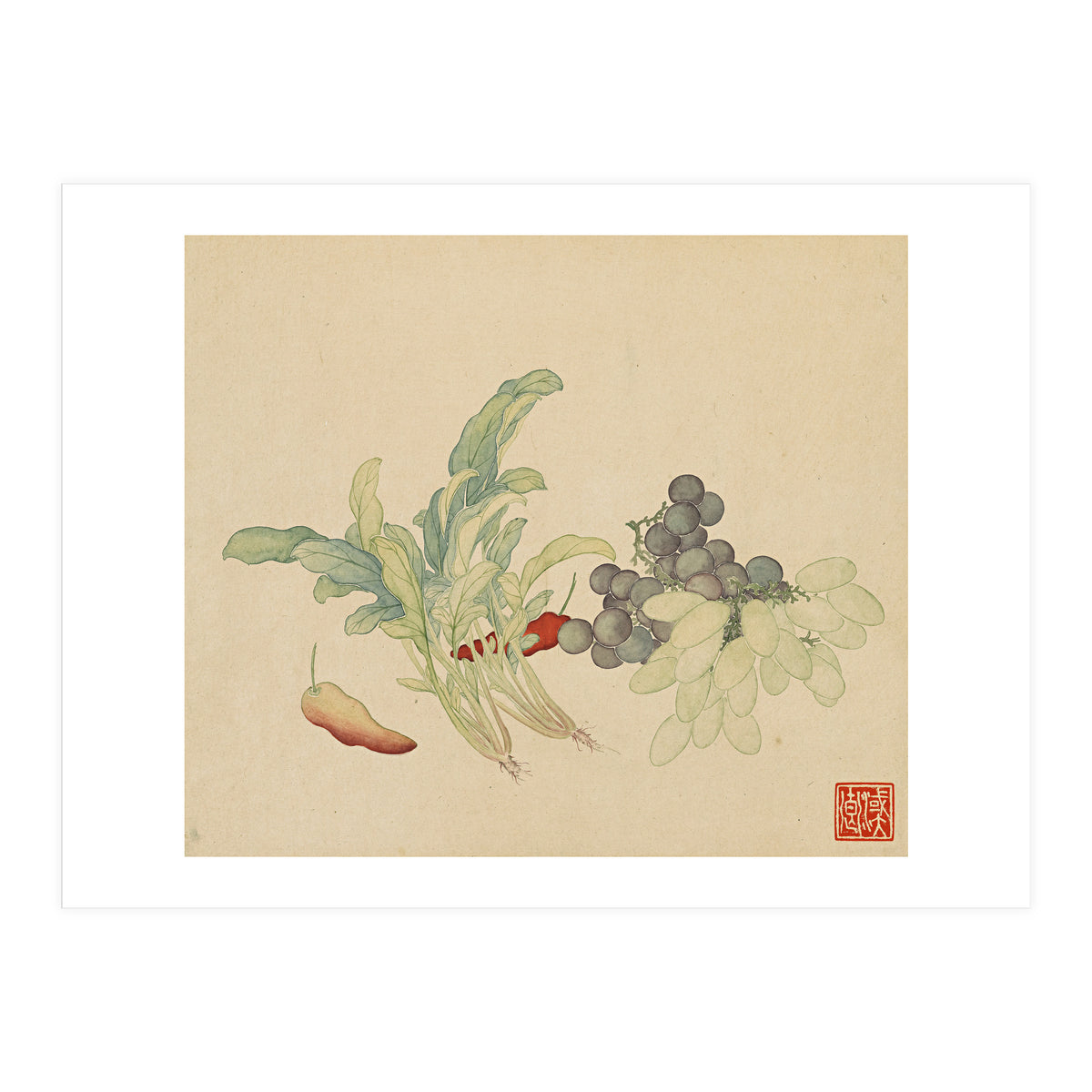 Wang Chengyu ~ Flowers And Vegetables, Vegetables, Fruits, Peppers, Millet Hot, Grapes, Spinach (Print Only)