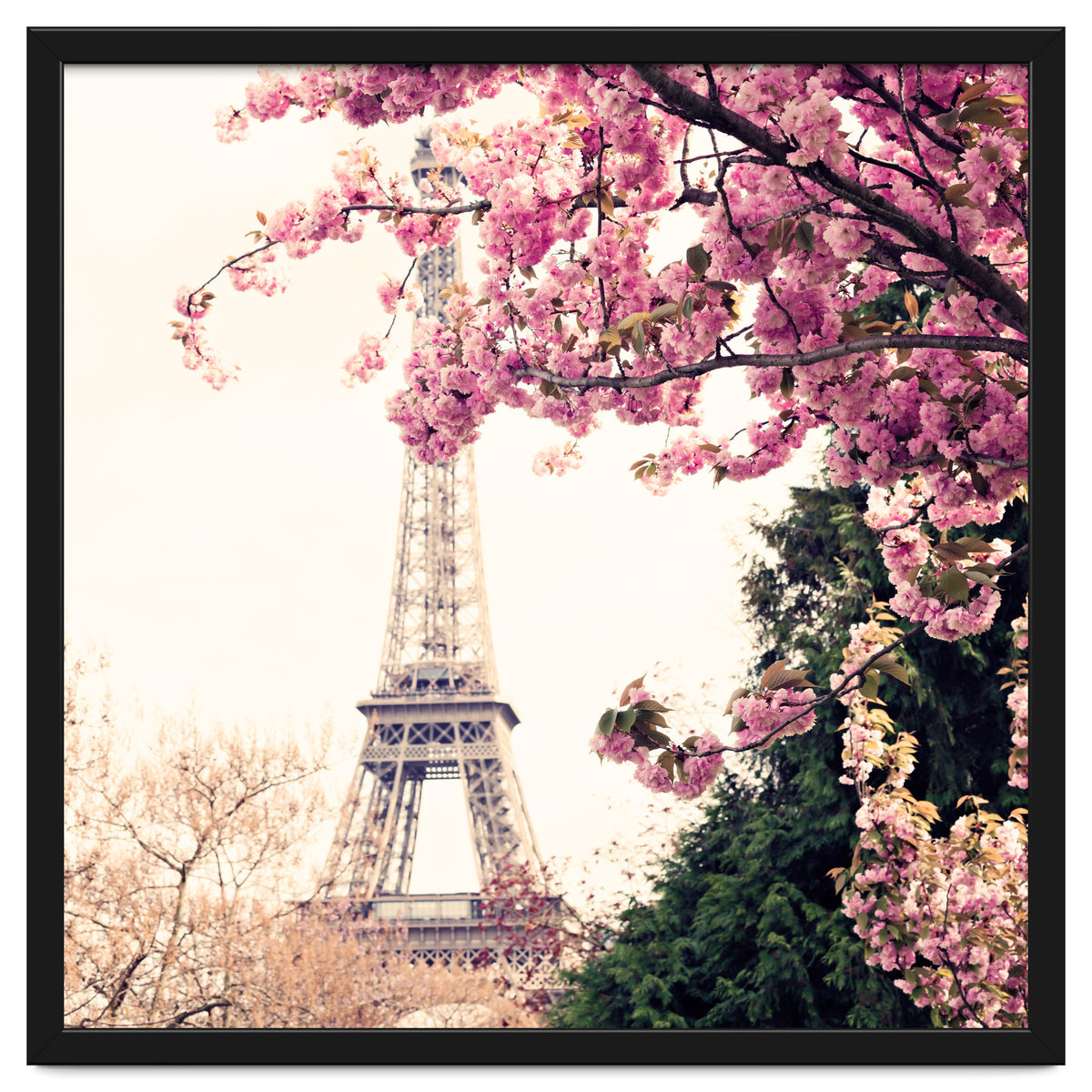 Paris in the Spring