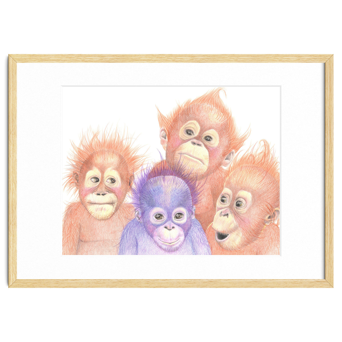 Orangutan Babies