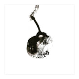 Hanging (Print Only) thumbnail