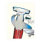 Hammerhead Shark Shaving (Print Only) thumbnail