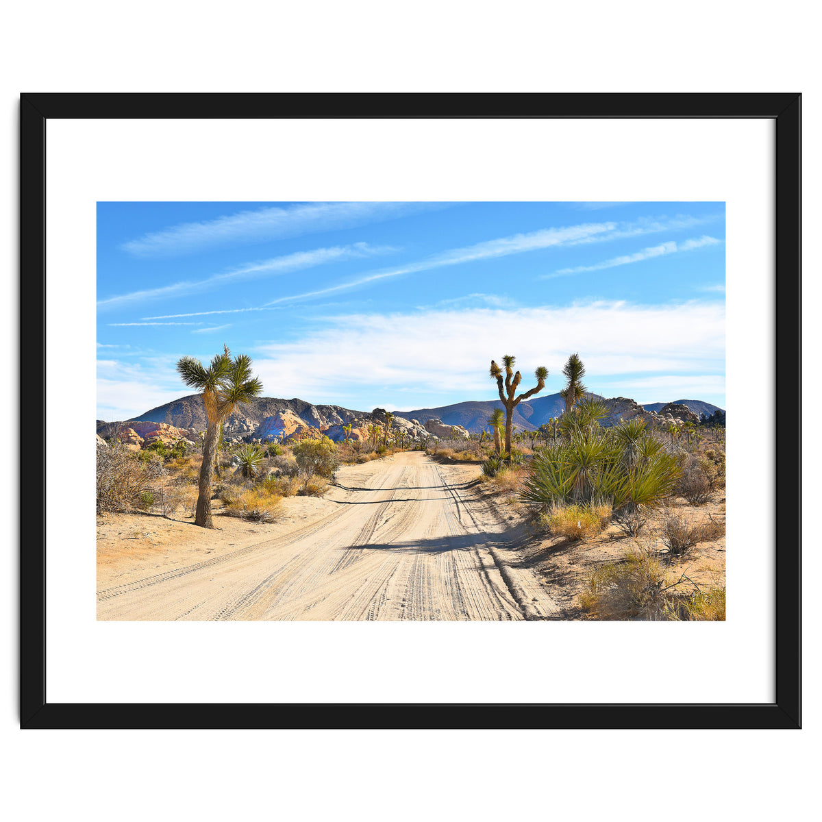 Joshua Tree II