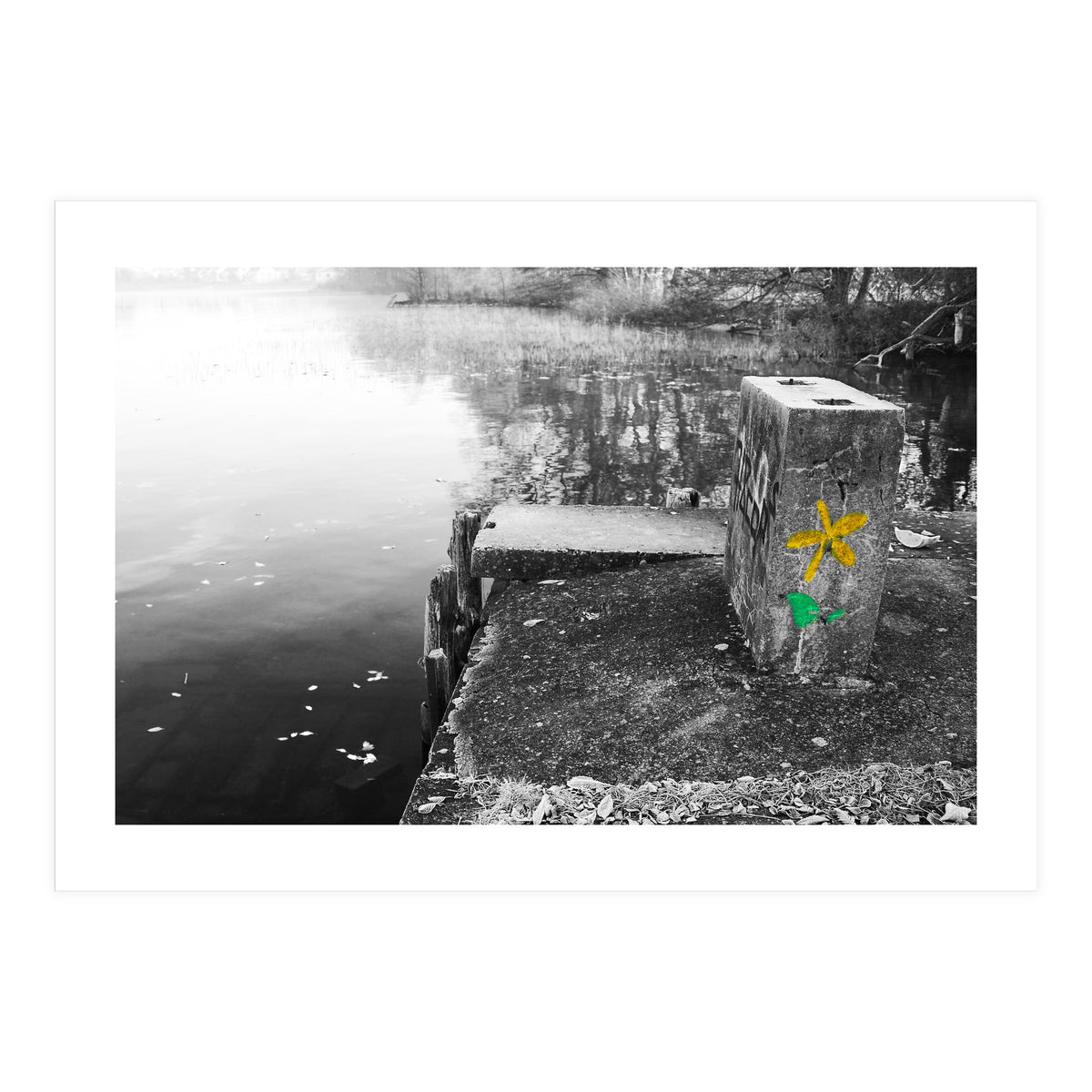 Frozen Ground Yellow Flower Street Art (Print Only)