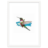 Modern Hummingbird II