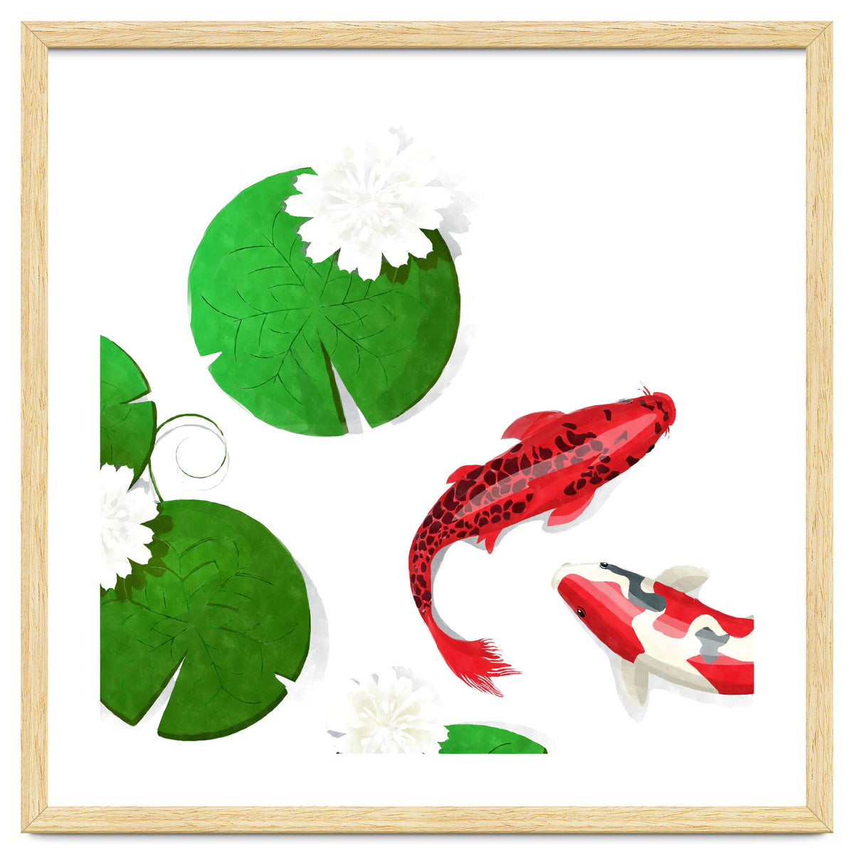 Watercolor Koi Fish Background